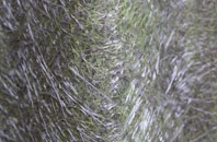 Demelza fibreglass roof work